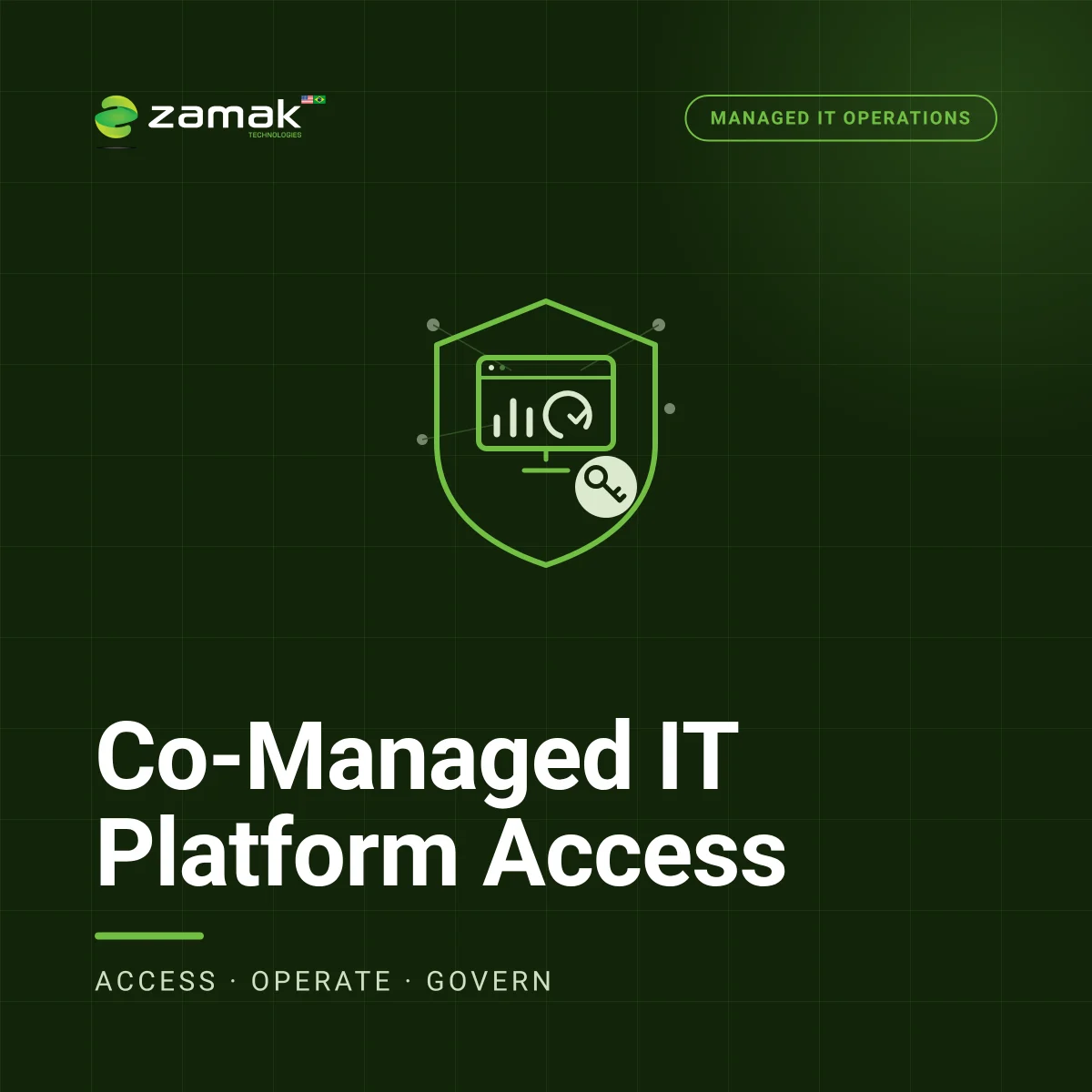 Co-Managed IT Platform Access