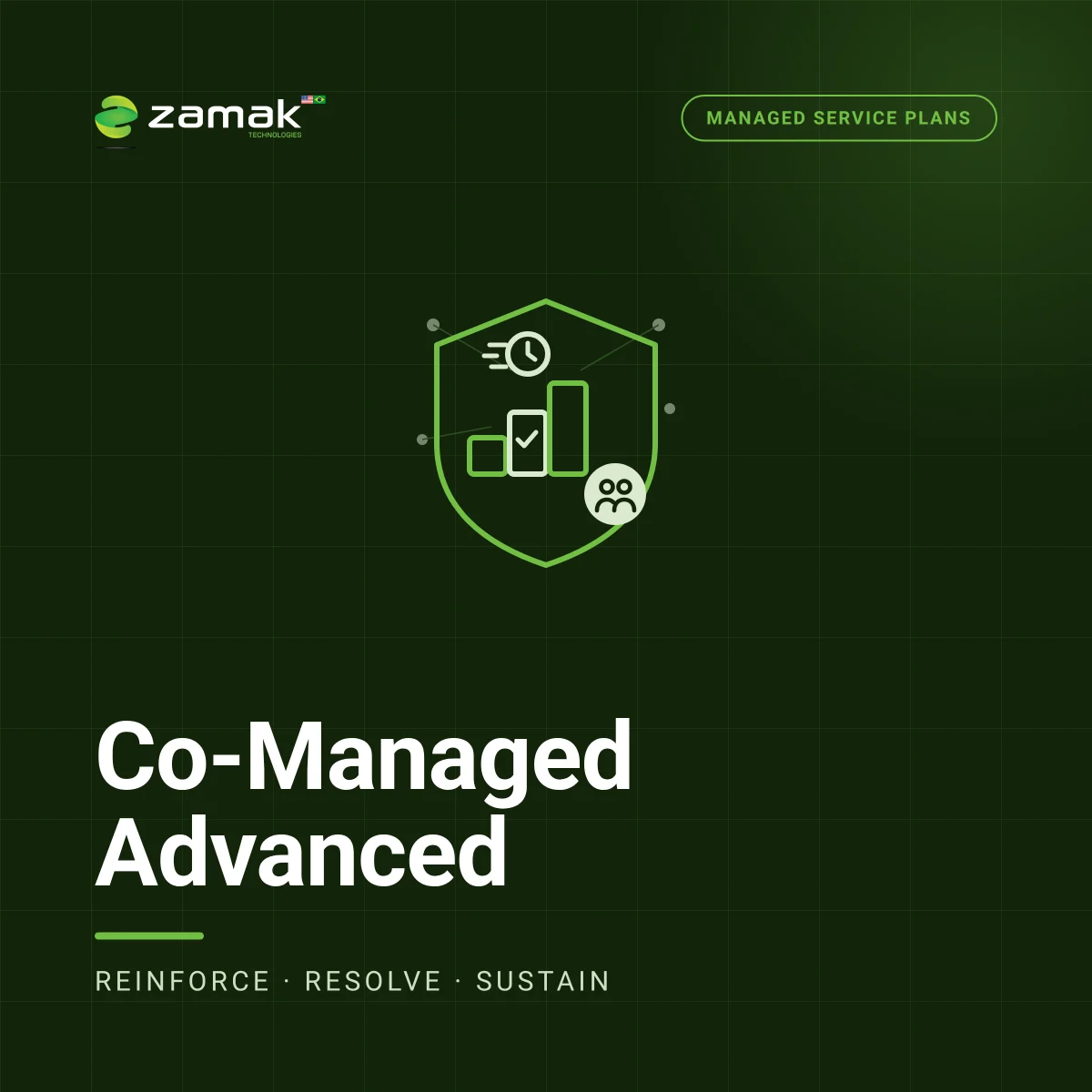 Co-Managed Advanced Plan (Servers (physical and virtual))
