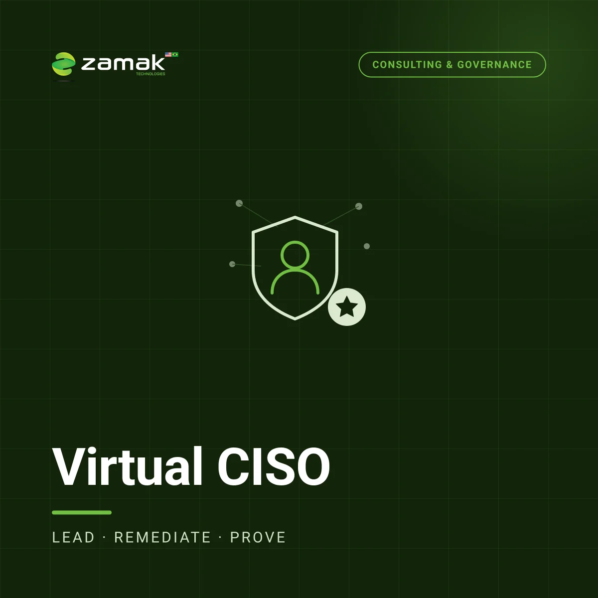 Diretor de Segurança Virtual (vCISO)